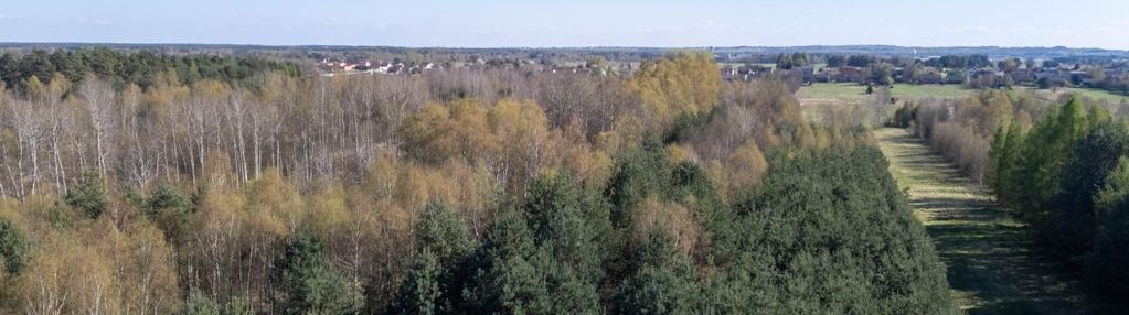 Działka rolno-leśna zendek