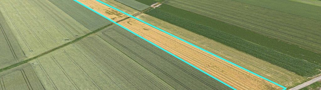 Grunty rolne 5,80 ha magdalenki, wlkp  klasa iii