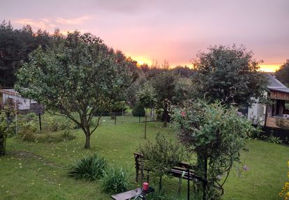 Działka ROD z domkiem 2025 – Aleksandrów Kujawski