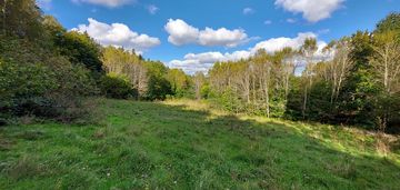 Niegdyś siedlisko-dziś twój ruch | 5,6 ha kobysewo