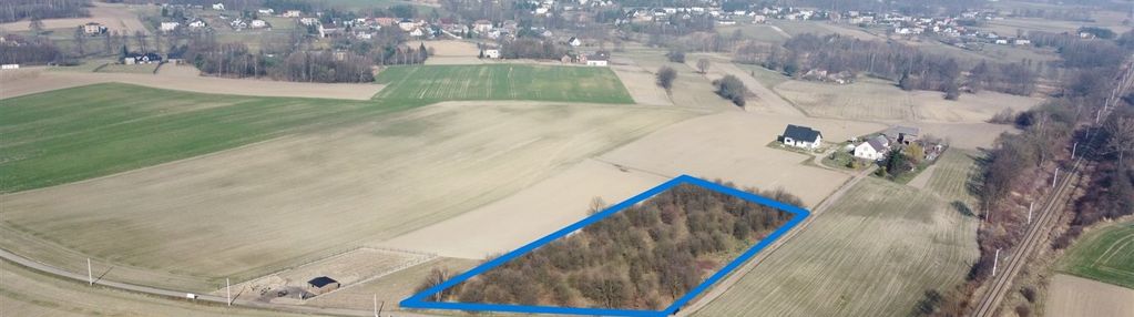 Czernica – przestronna działka w zielonej okolicy