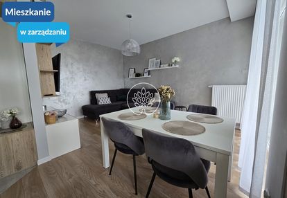Nowy apartament na wynajem .