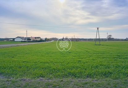 Działka 3020m2 borówno kowalewo pomorskie