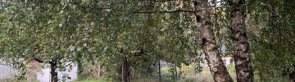 Tuczno / pruszewiec duża działka 1893m2