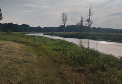 Działka z Potencjałem nad Rzeka Narew 8400m2