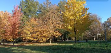 0 % prowizji , bez  pcc,  ostatnie  w tej cenie !