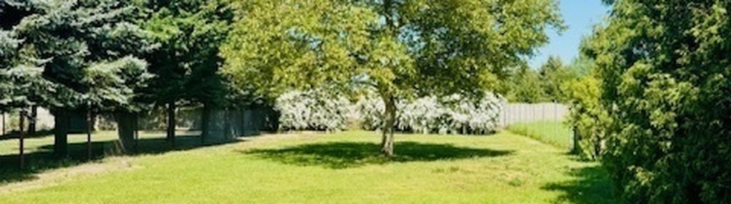 Działka z pięknym ogrodem -tarnowo podgórne
