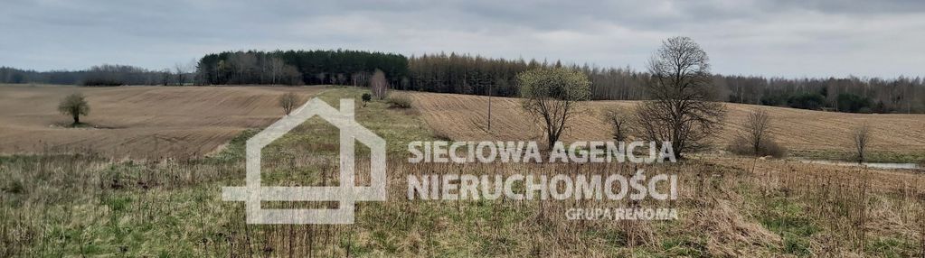 Działka budowlana 8800m2 borowina