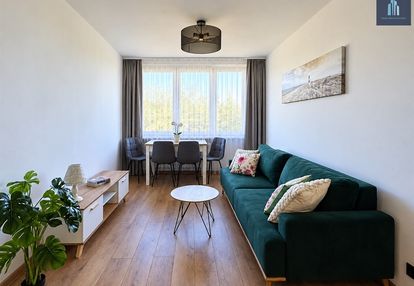 Atrakcyjne mieszkanie do wynajęcia w centrum