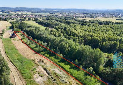 Dwie działki, jodłówka