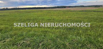 Kleszczów, ul. kozielska