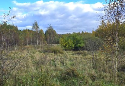 Tylko u nas! działki budowlane z mpzp– mierzeszyn