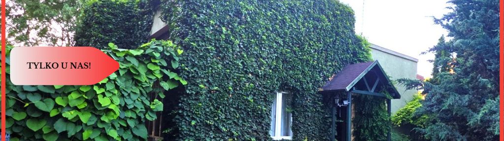 Dom i kawalerka  ,ogród !