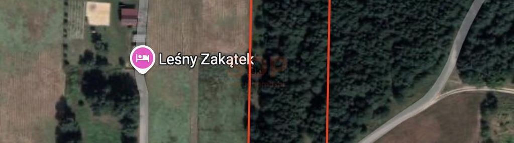 Spokój, natura, potencjał – 1,7 ha działki!