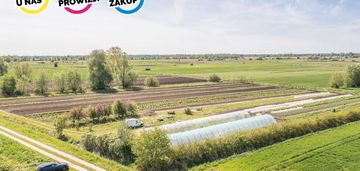 Duża działka z potencjałem w rikitnicy