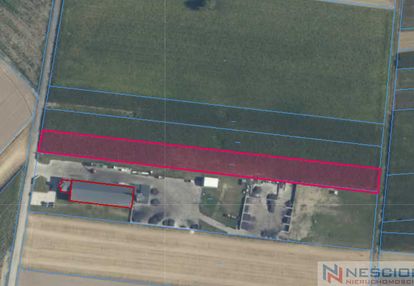 Działka rolna 6098m2, borki-kosy