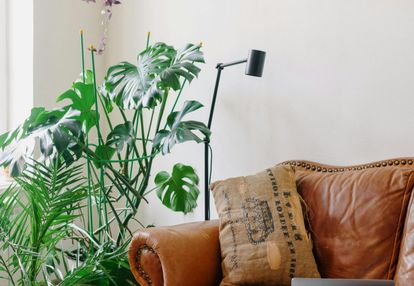 Idealne dla singla lub pary_słoneczne