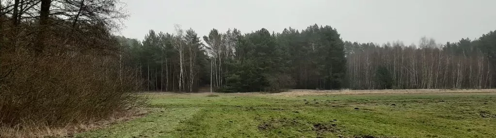 Działka na sprzedaż 7800m2