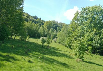 Działka budowlana w obszarach naturalnych.