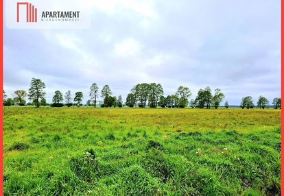 Dziemionna 1440 m2 z warunkami zabudowy