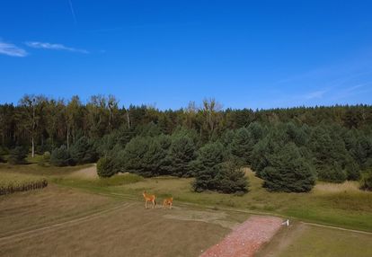 Działki budowlane |jelcz laskowice |wykonane media