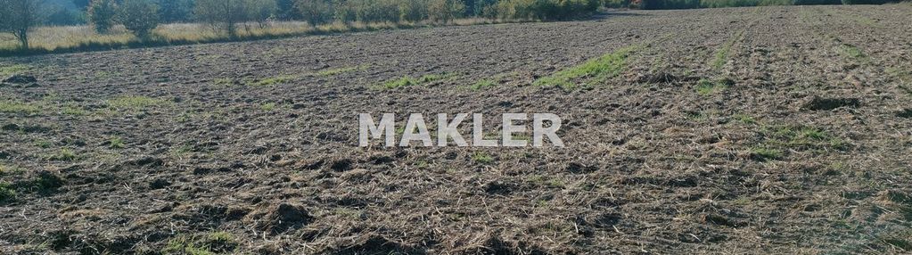 Działka  w myślęcinku 2,6 ha w tym 1 ha lasu.