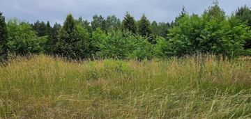 Działka budowlana 4827 m², dogodna lokalizacja
