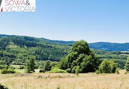 Natura przestrzeń spokój i góry sowie