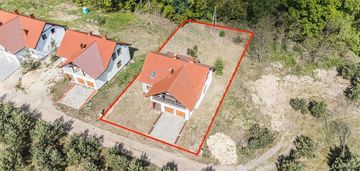 Wolnostojący | las | cisza | sękowo | natura