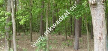 Leśna z pr. zabud. pod zabud. rezydencjonalną mpzp