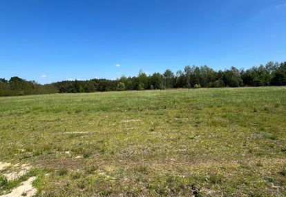 Duża działka 1130 m2, wz, projekt domu.