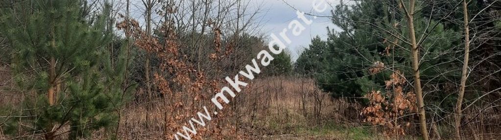 Kształtna działka w dobrej lokalizacji.