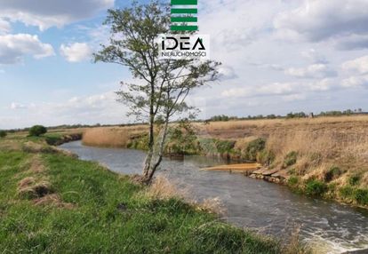 Działka z linią brzegową noteci