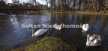 Działka budowlana strefa "a" królewska góra okazja