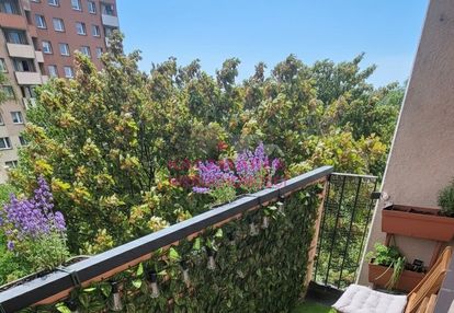 Pszczyna| 2 pokoje | 45 m² | winda | pet friendly