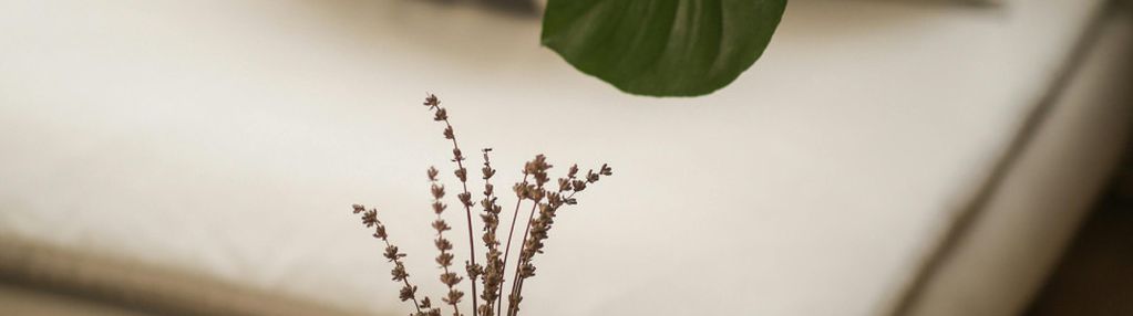4pokoje +ogród jak marzenie poniżej 7 tyś za metr