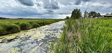 Działka z domem nad rzeką narew w  czerewkach