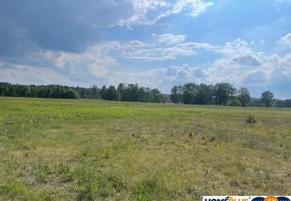 8808 m² pod zabudowę jednorodzinną i usługi.