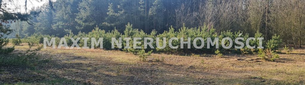 Działka wśród lasów i rzek tomaszewo gm nowe miast