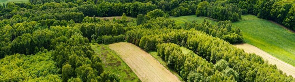 3 działki rolne na sprzedaż | skrzyszów | 1,56 ha
