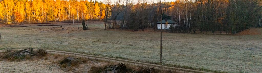4 hektary wolności pod warszawą, ostrowik