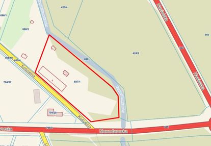 Skrzeszew, usługi/handel, tuż przy dw 631