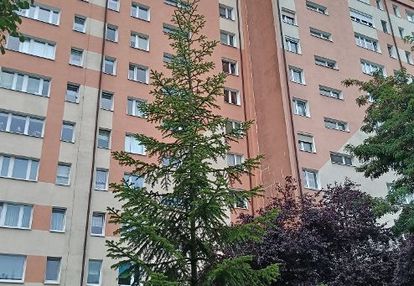 Znów na sprzedaz! mieszkanie do własnej aranżacji!