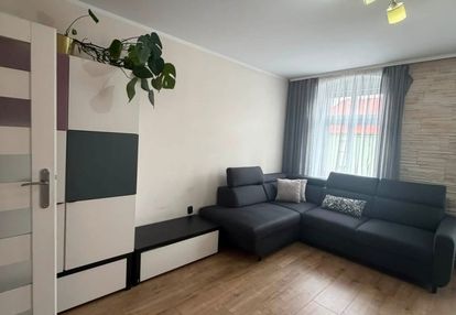 Bezczynszowe 3 pokoje z ogródkiem w trzebiatowie