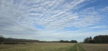 Sprzedaż 4 działek po 3000 m2