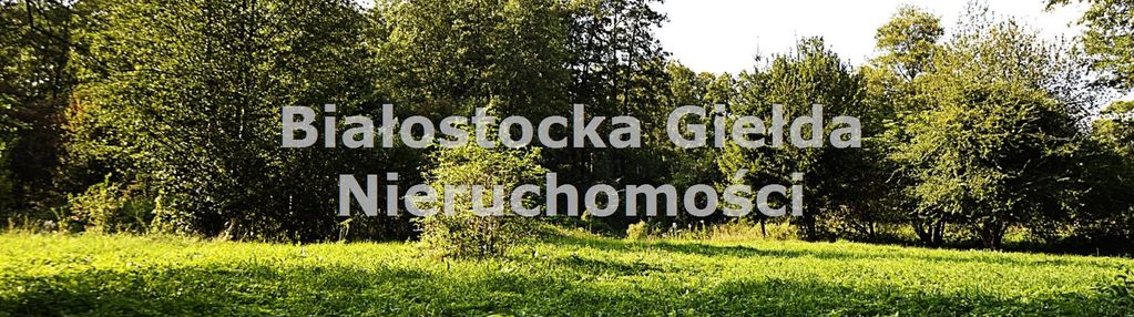 Działka budowana//klewinowo//z lasem