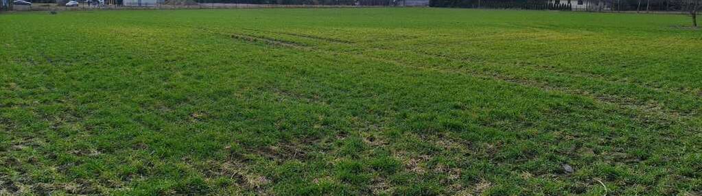 Działka budowlana w pobliżu płocka