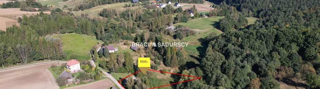 Poręba żegoty, gmina alwernia.