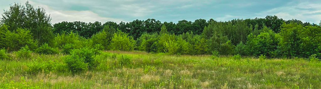 Atrakcyjna działka budowlana w runowie 1150 m²