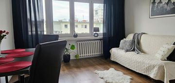 Wynajem 3 pok. wrocław krzyki, dąbrowskiego